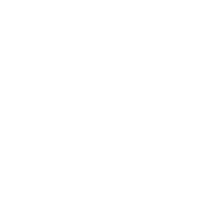 NetworkXConnect Logo